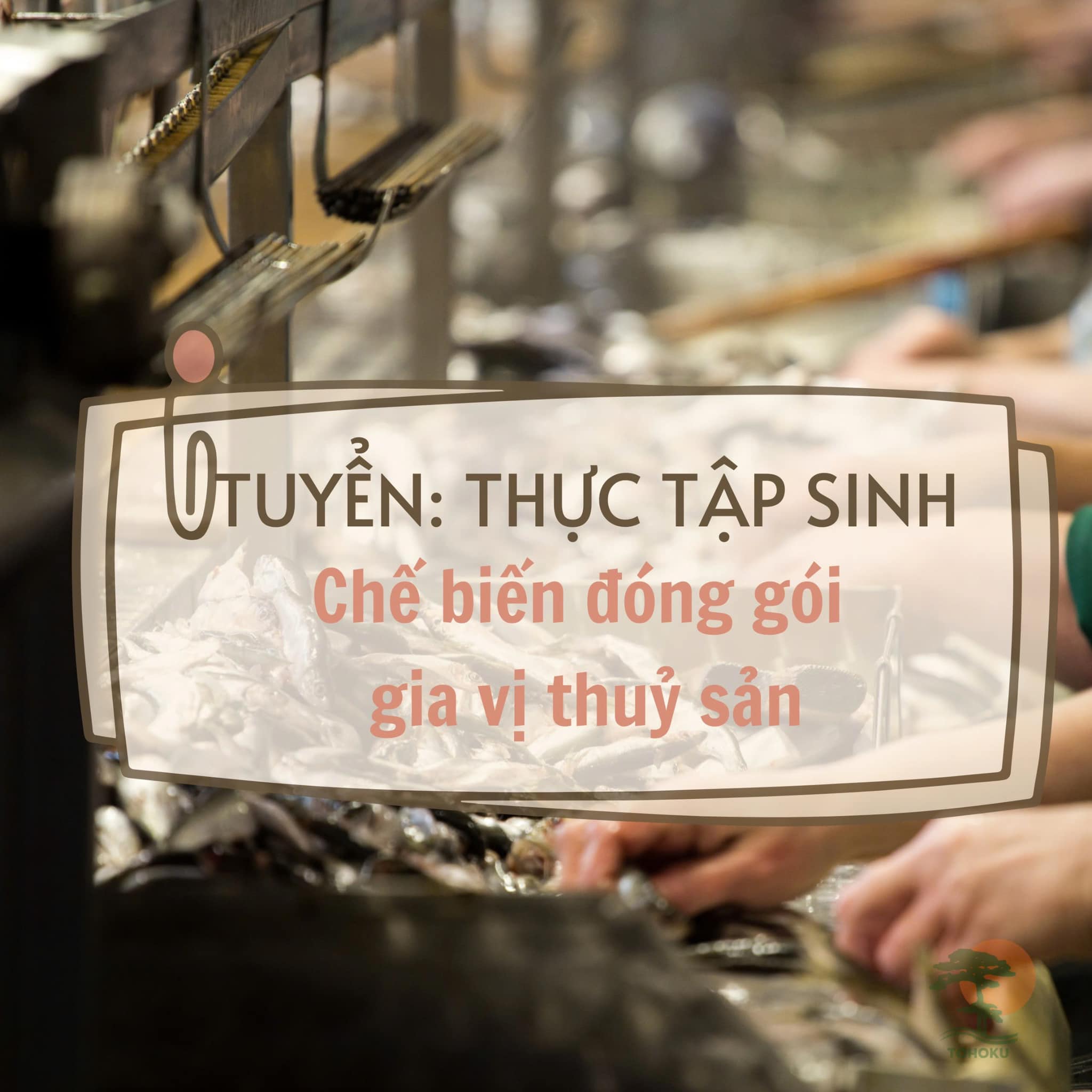 TUYỂN SINH THỰC TẬP SINH: NGÀNH NGHỀ CHẾ BIẾN THỰC PHẨM THUỶ SẢN GIA NHIỆT THÁNG 12/2024