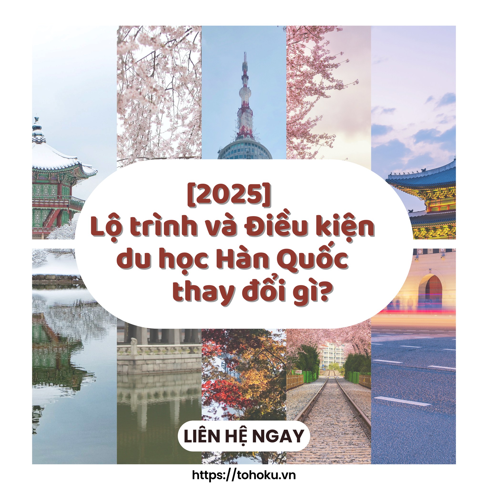 [2025] LỘ TRÌNH VÀ ĐIỀU KIỆN DU HỌC HÀN QUỐC THAY ĐỔI ĐIỀU GÌ ?