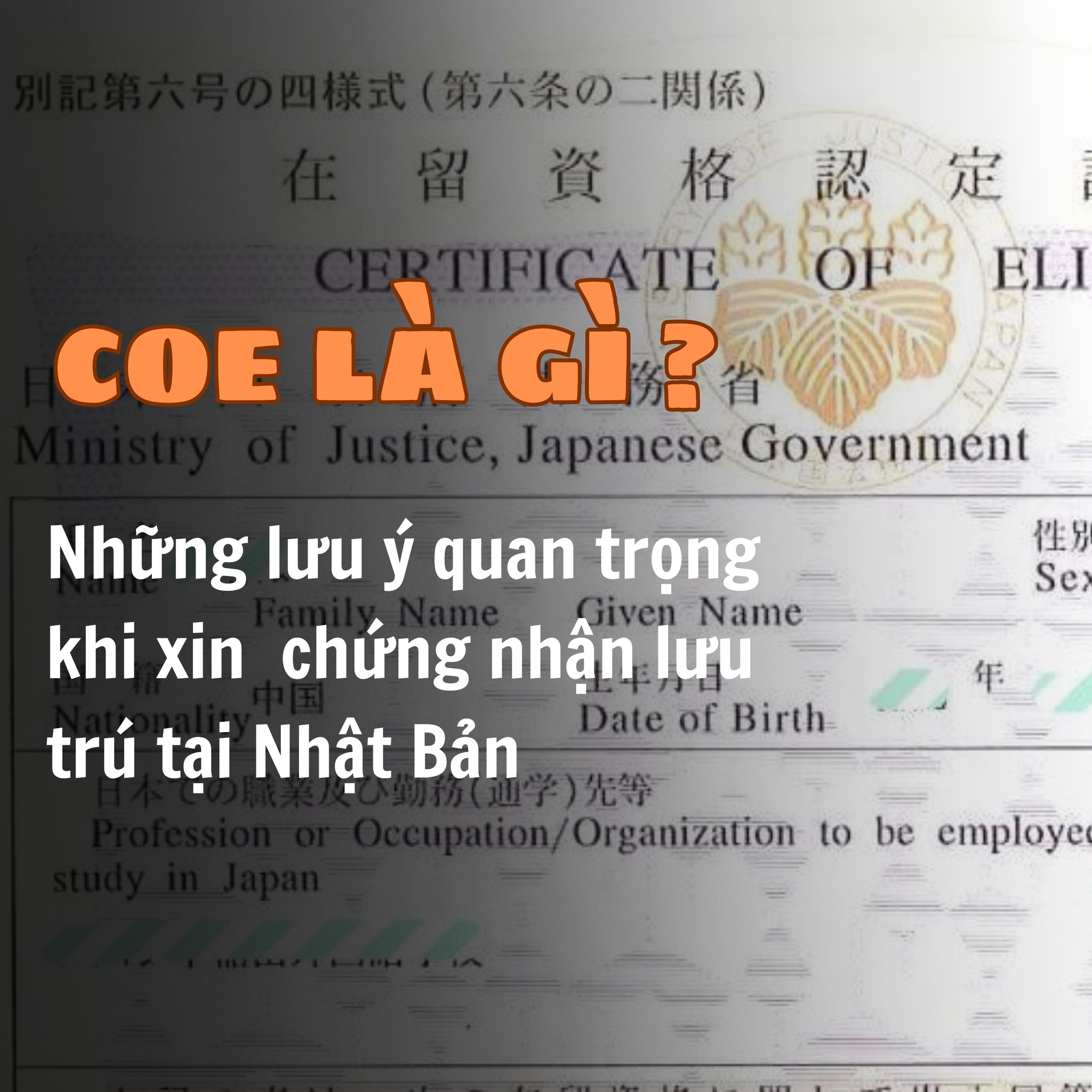 COE LÀ GÌ? NHỮNG LƯU Ý CẦN BIẾT TRƯỚC KHI XIN CHỨNG NHẬN LƯU TRÚ TẠI NHẬT