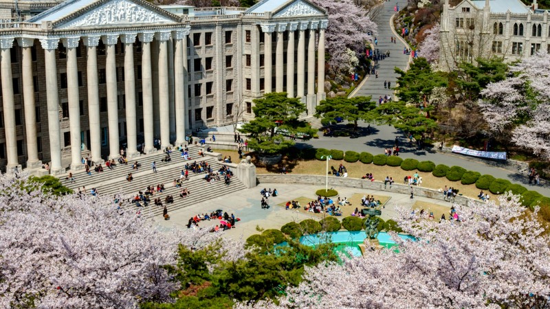 国留学｜TOP1大学・TOP2大学の違いとは？