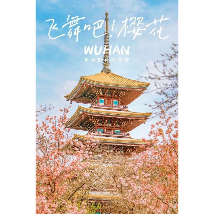 中国の大学都市・武漢 ― 教育と留学の視点から見る魅力