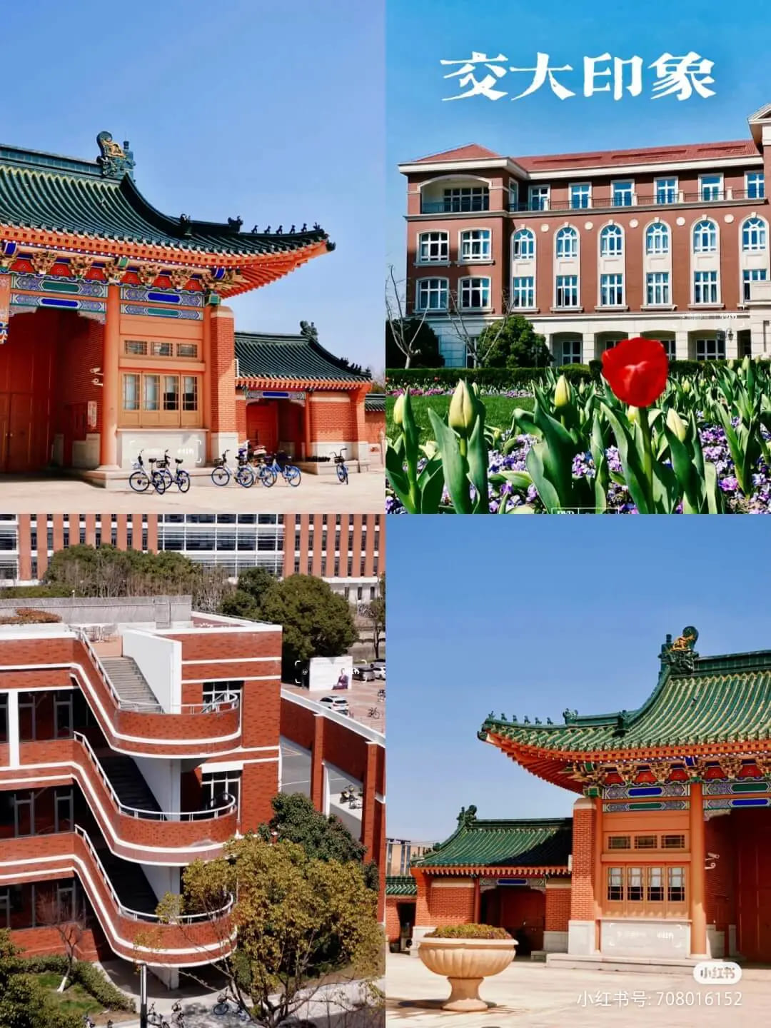 中国の大学留学でよくある質問