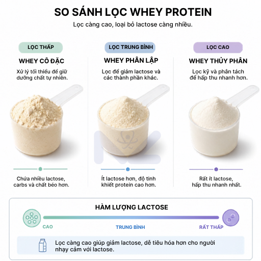 Vì sao nhiều người châu Á uống sữa và whey concentrate bị đau bụng, đầy hơi?