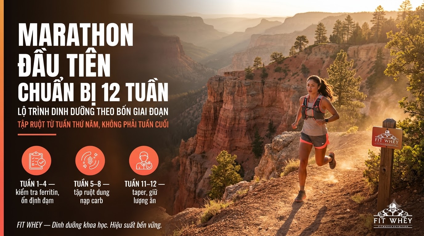 Chạy marathon đầu tiên: dinh dưỡng 12 tuần trước ngày đua
