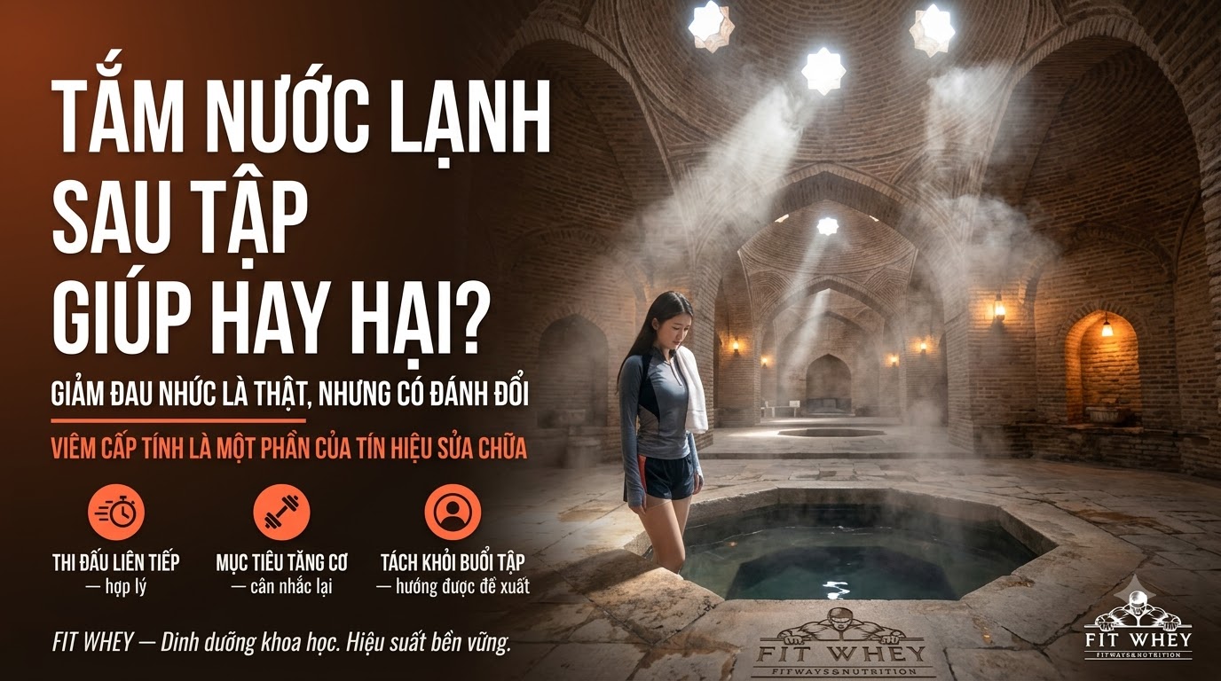 Tắm nước lạnh sau tập: giúp phục hồi hay cản trở tăng cơ?