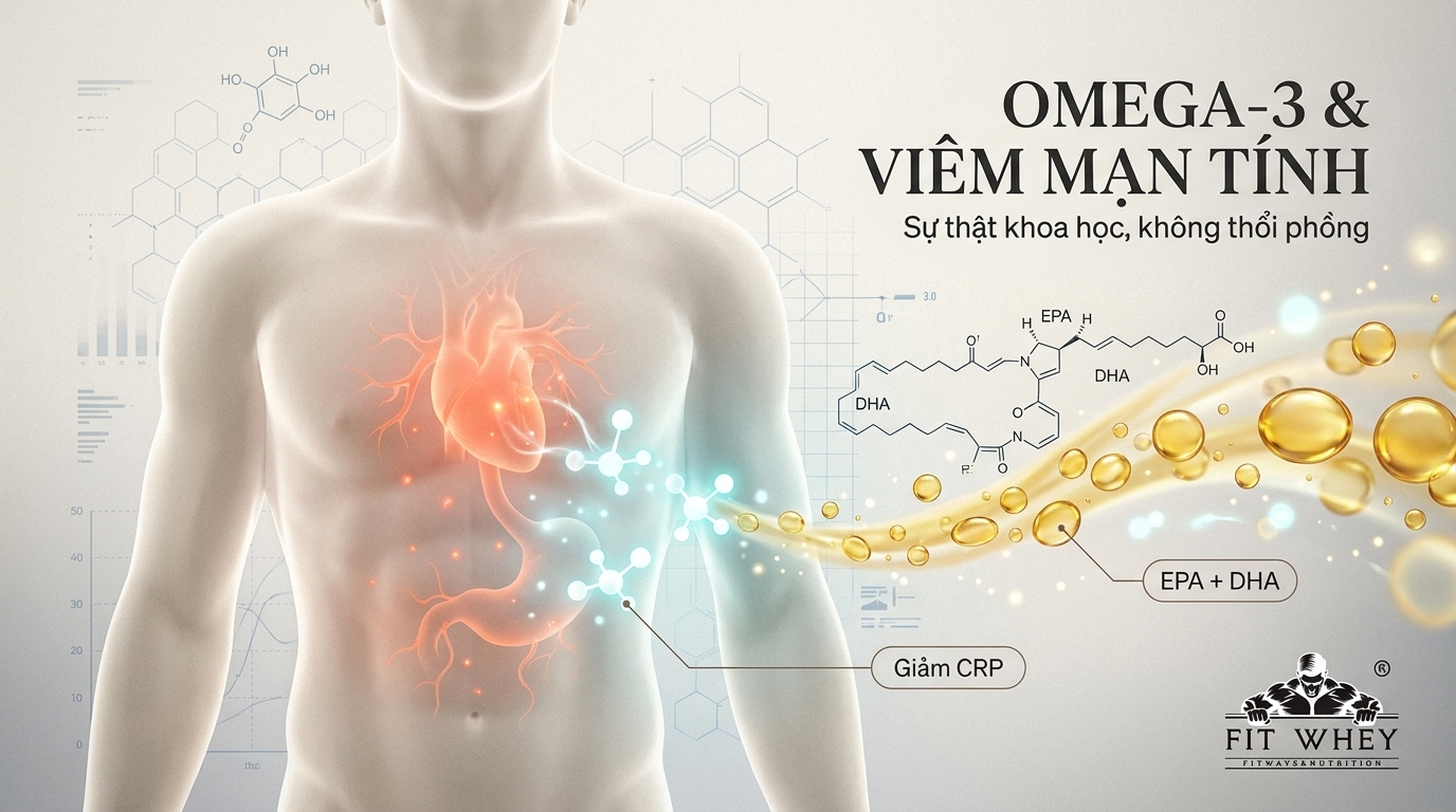 Omega-3 (dầu cá) có thật sự giảm viêm mạn tính không? Bằng chứng khoa học