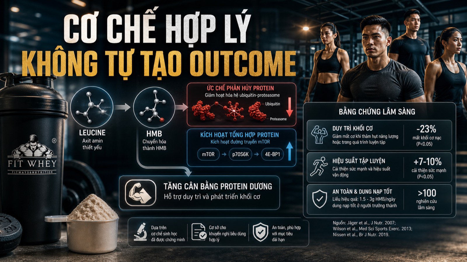 Infographic leucine chuyển hóa thành HMB và các cơ chế liên quan cân bằng protein cơ