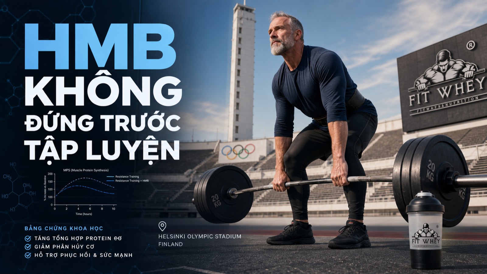Ảnh bìa HMB không đứng trước tập luyện với biểu đồ tổng hợp protein cơ