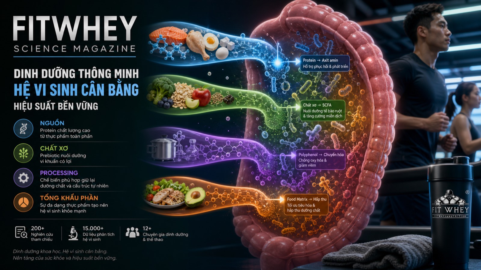 Infographic nguồn protein, chất xơ, mức chế biến và tổng khẩu phần ảnh hưởng hệ vi sinh