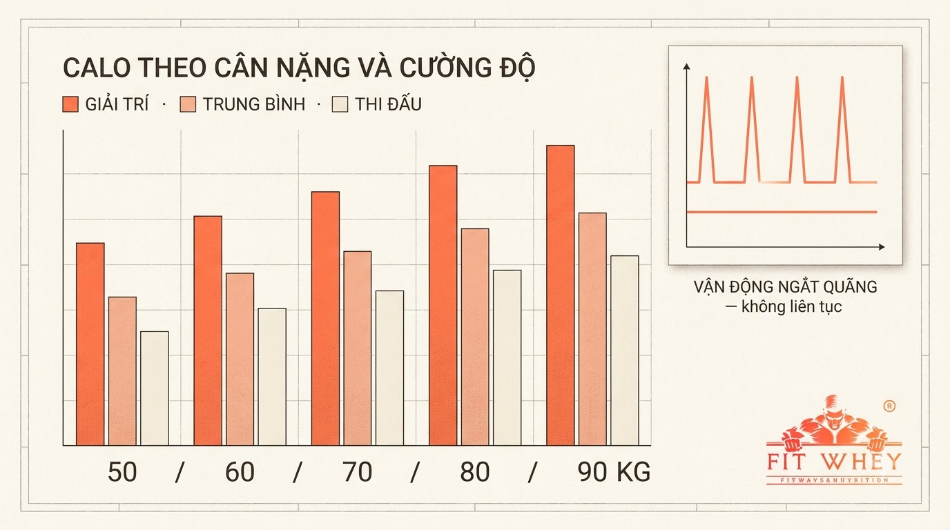 Biểu đồ so sánh mức tiêu hao năng lượng theo cường độ vận động