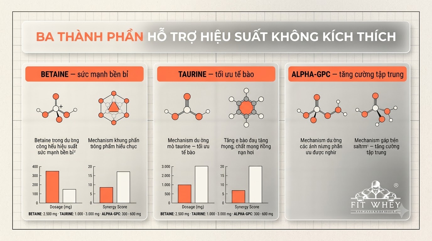 Đồ họa so sánh các chất bổ sung hỗ trợ hiệu suất tập luyện
