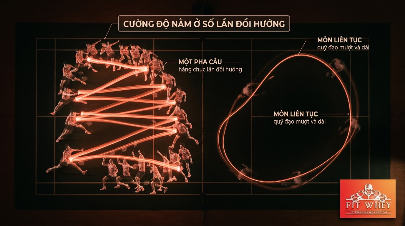 Chuỗi chuyển động liên tiếp trong một pha cầu lông cường độ cao
