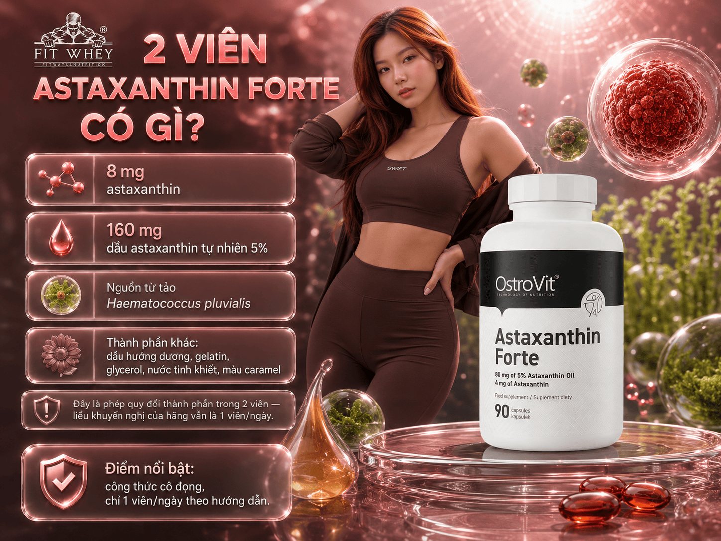 Bảng quy đổi hai viên OstroVit Astaxanthin Forte: 8 mg astaxanthin từ 160 mg dầu 5%