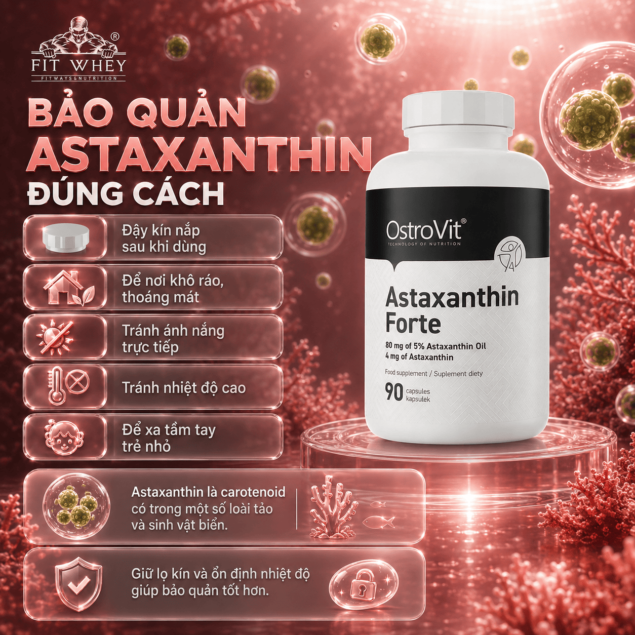 Hướng dẫn bảo quản OstroVit Astaxanthin Forte nơi khô mát, tránh ánh nắng và nhiệt cao
