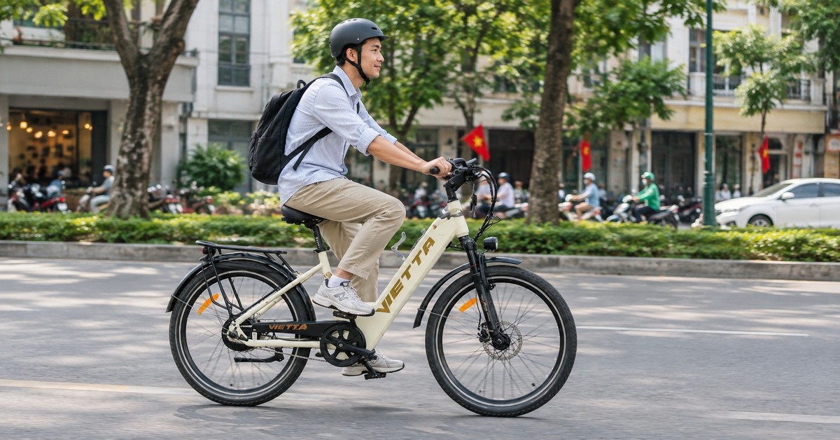 Tay ga và bộ điều khiển thật trên xe đạp trợ lực VIETTA
