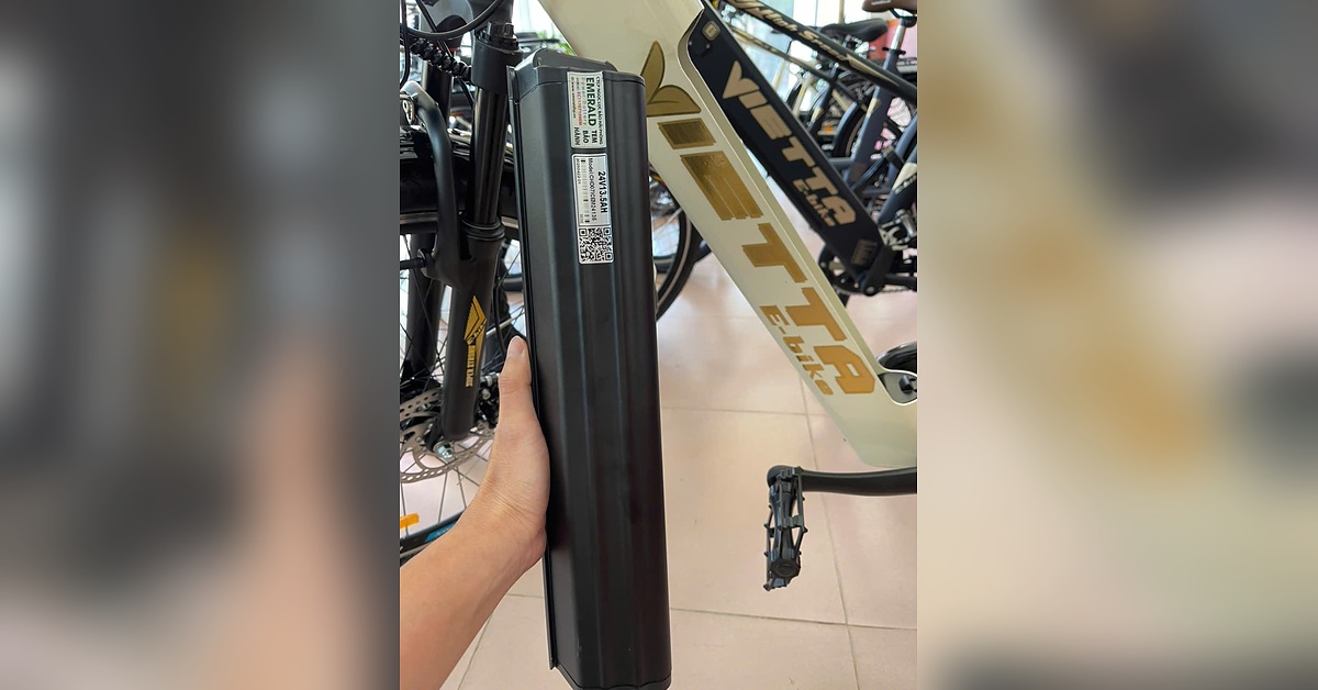 Nhãn thông số thật trên pin xe đạp trợ lực VIETTA