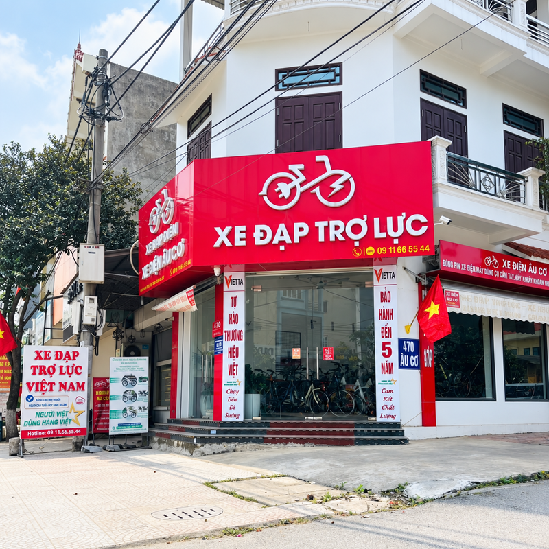 VIETTA XE ĐẠP TRỢ LỰC