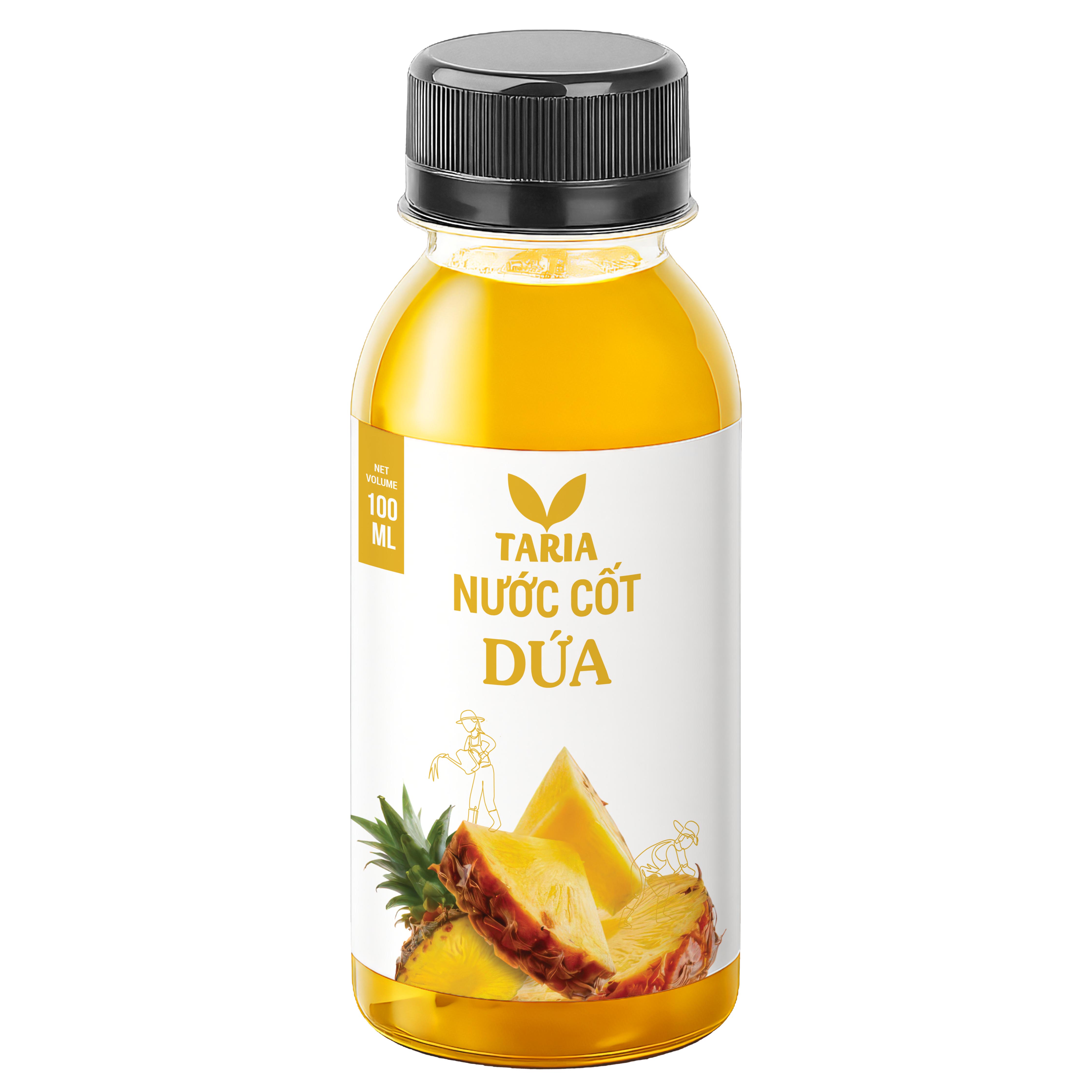 NƯỚC CỐT DỨA (100 ml)