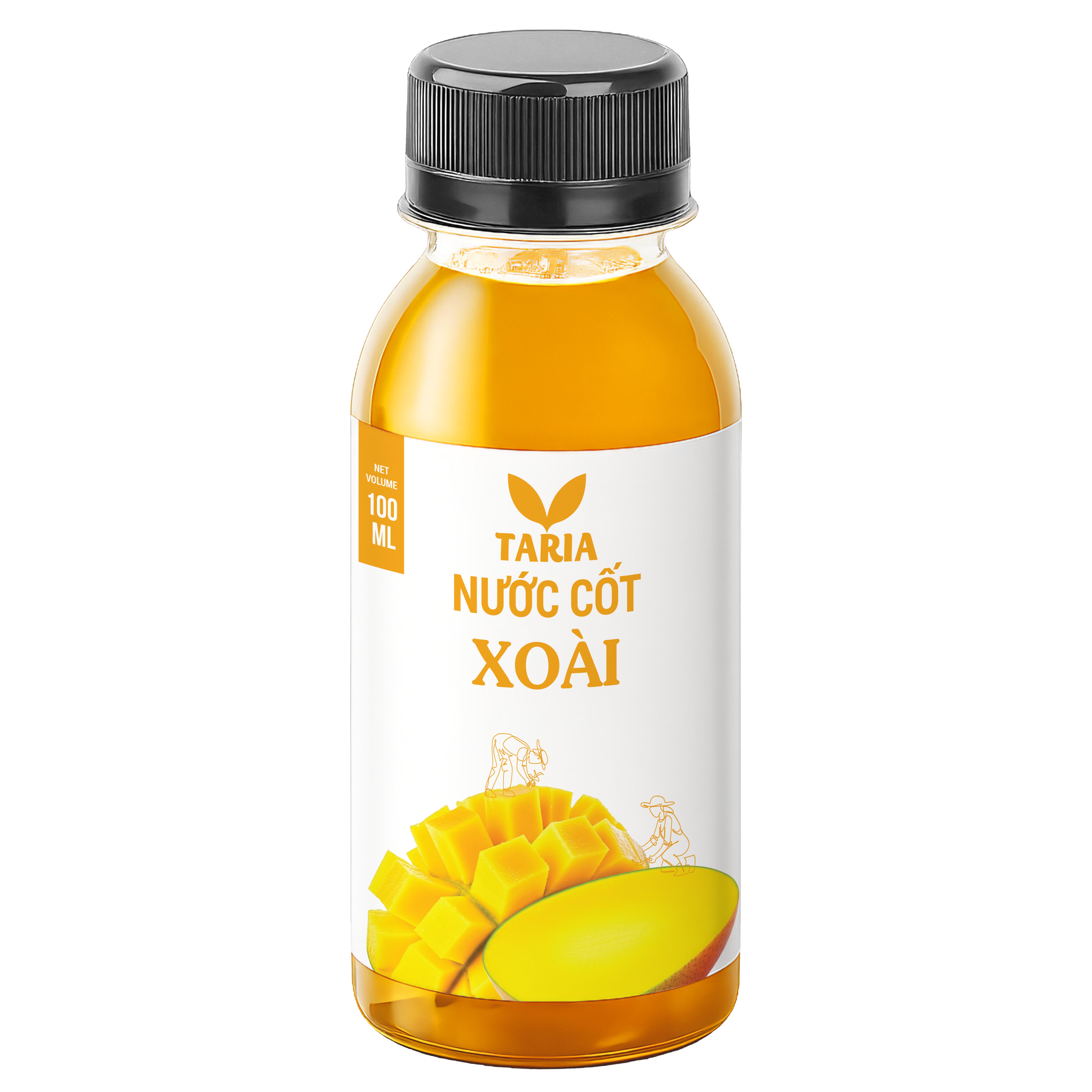 NƯỚC CỐT XOÀI (100 ml)