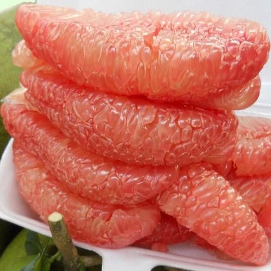 Bưởi Tân Triều