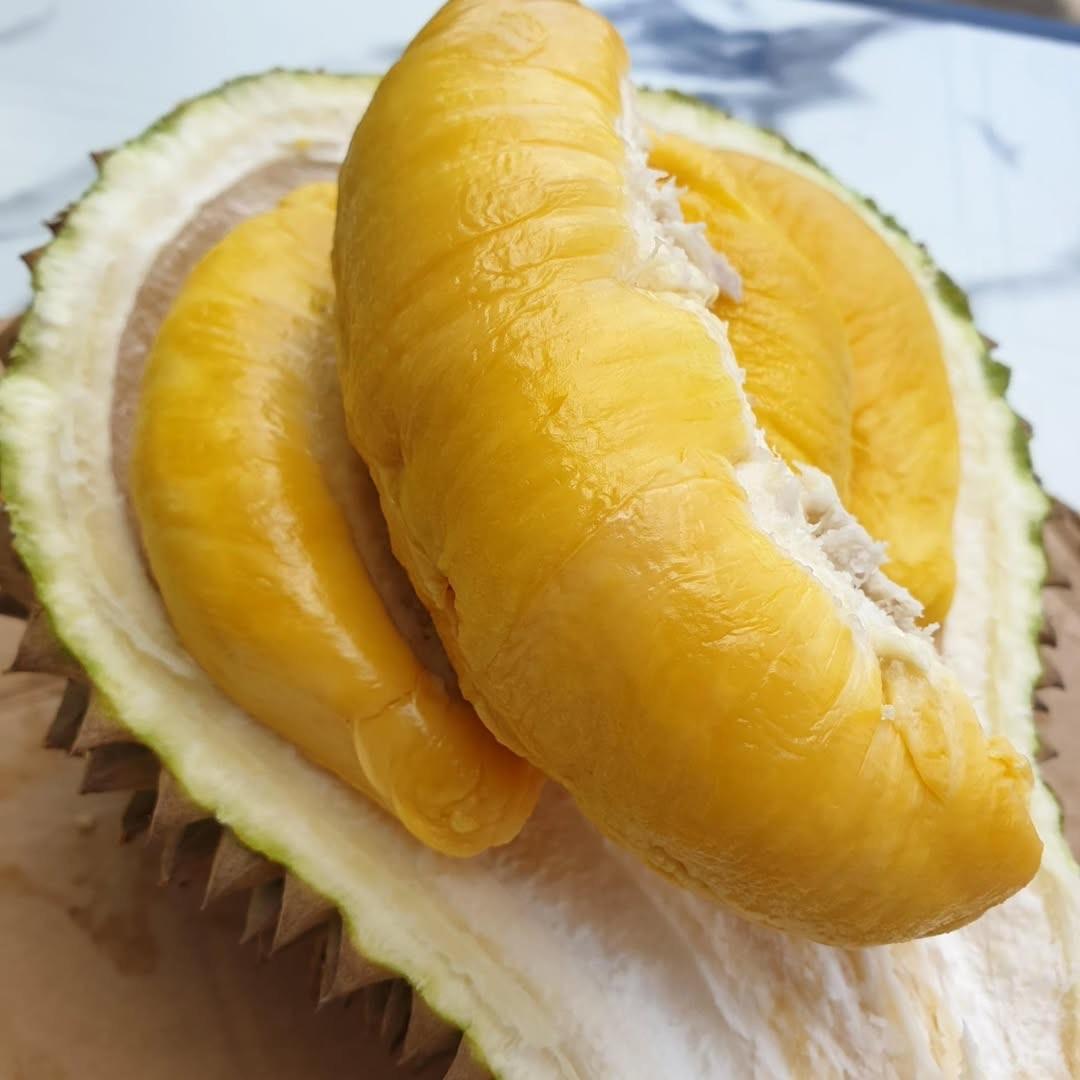 Sầu riêng Musang King