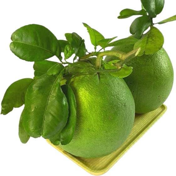 Bưởi da xanh