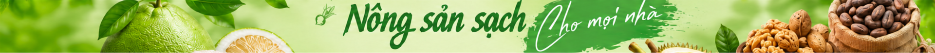 Banner header