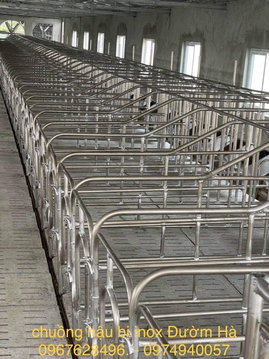 Chuồng Hậu Bị cho Lợn