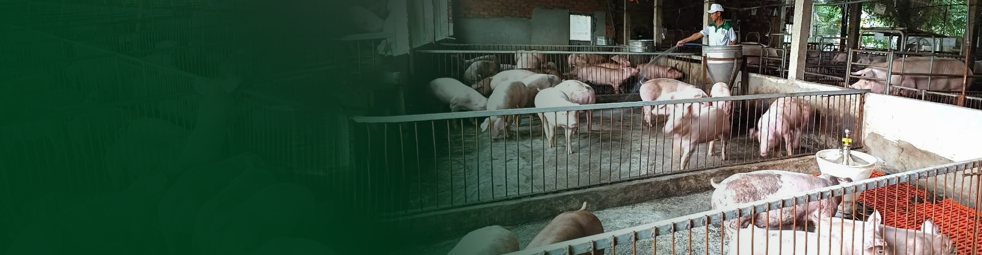 Đặt lịch khảo sát