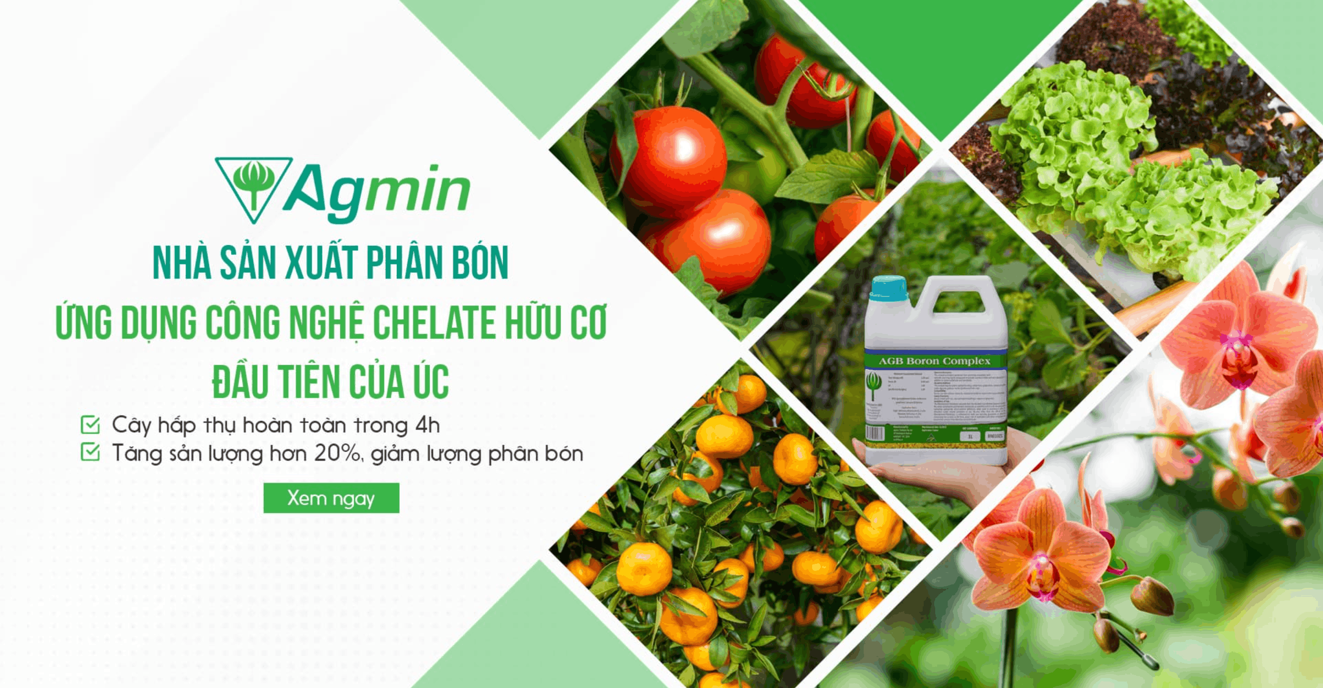 Slider 3 Agmin chelate huu co