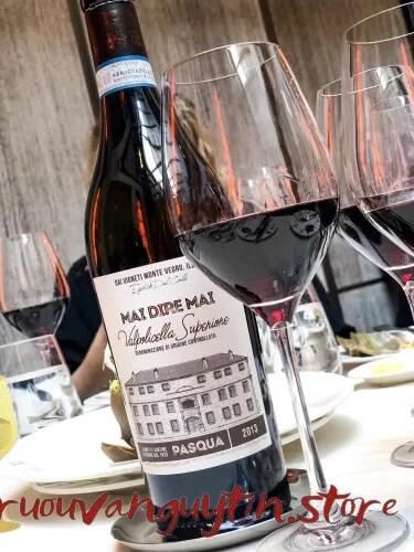 Pasqua Mai Dire Mai Valpolicella Superiore 2013