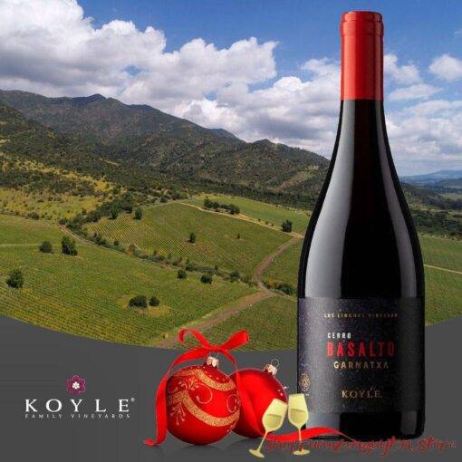 Koyle Cerro Basalto Los Lingues Vineyard