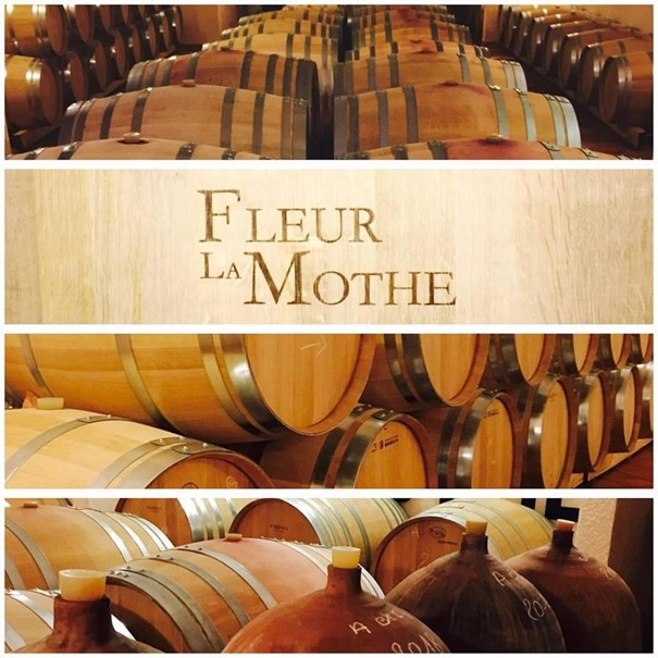 Château Fleur La Mothe 2018