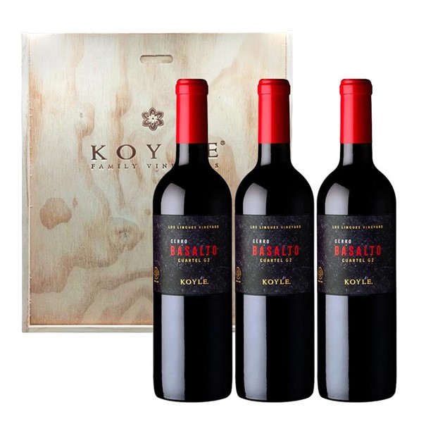 Koyle Cerro Basalto Cuartel G2