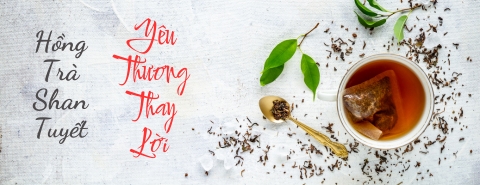Trà cổ thụ Shan Tuyết Cao Hưng
