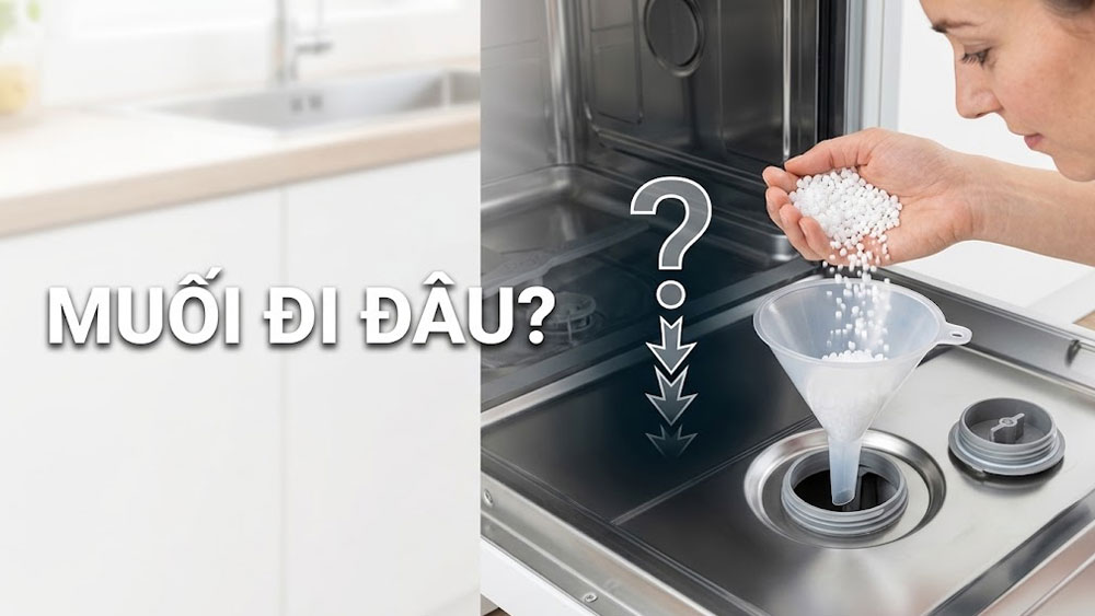 Muối máy rửa bát thực sự đi đâu sau khi bạn đổ vào máy?