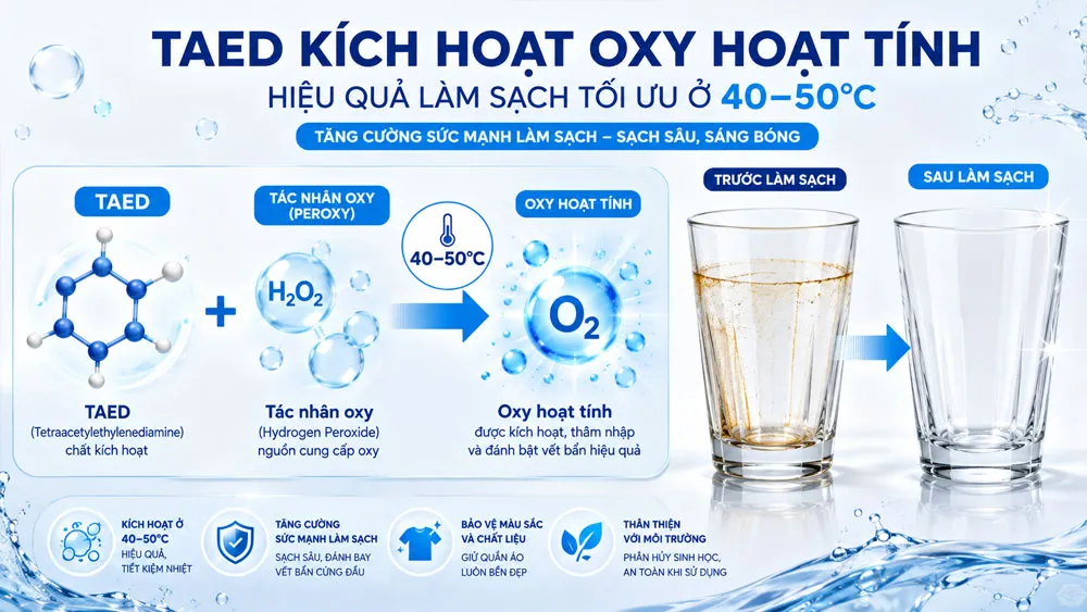 Cơ chế TAED kích hoạt oxy hoạt tính ở nhiệt độ thấp