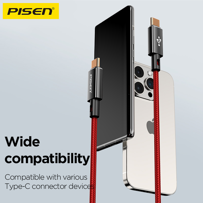 Cáp sạc TypeC-TypeC Pisen CC-PD12 QUICK Platinum