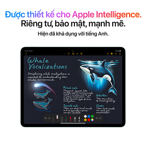 Ipad Air 7 11