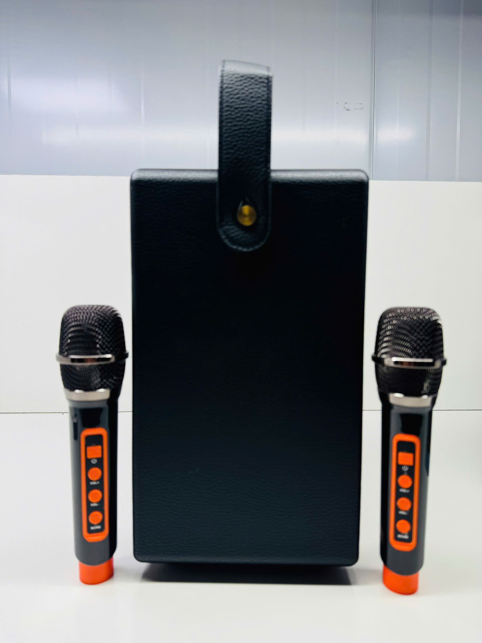 Loa Karaoke Bluetooth kèm 2 Micro hát Ys M100 Pro