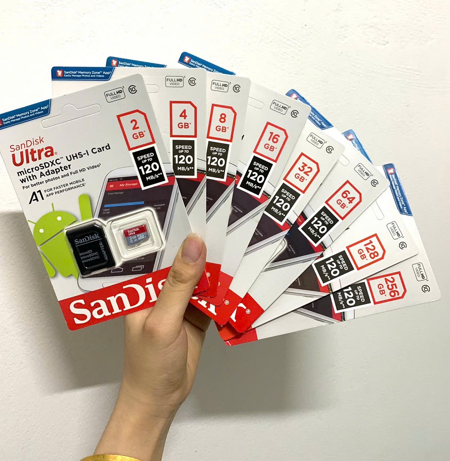 Thẻ Nhớ Micro SanDisk loại 2
