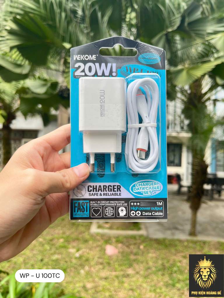Bộ sạc TypeC-TypeC Wekome U100