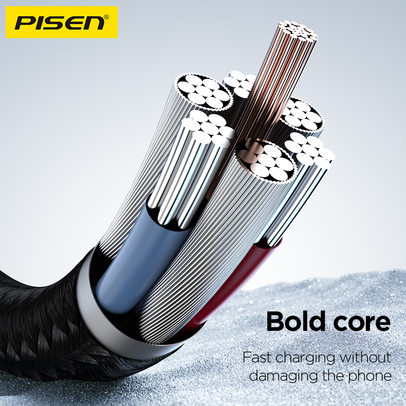 Cáp sạc TypeC-TypeC Pisen CC-PD12 QUICK Platinum