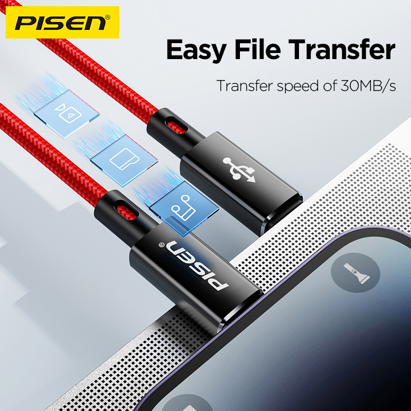 Cáp sạc TypeC-TypeC Pisen CC-PD12 QUICK Platinum