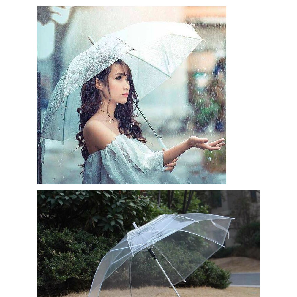 Cây Dù Che Nắng, Mưa Trong Suốt