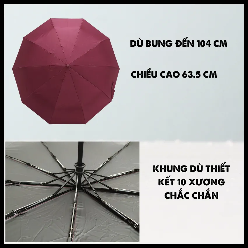 Cây Dù đi Nắng, Mưa Tự động NIKITA