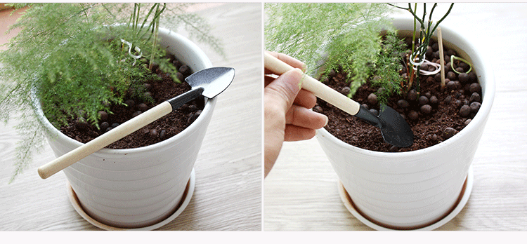 Cây cuốc xẻng mini (3 cái)