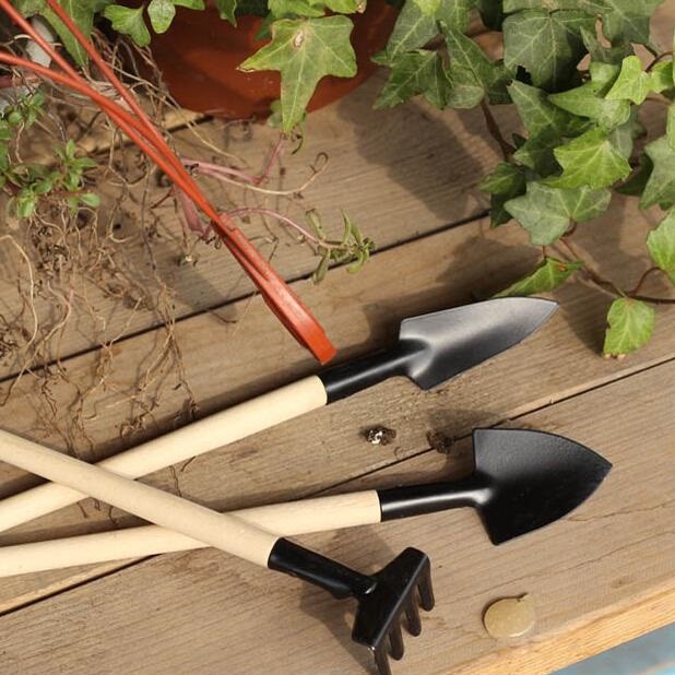 Cây cuốc xẻng mini (3 cái)