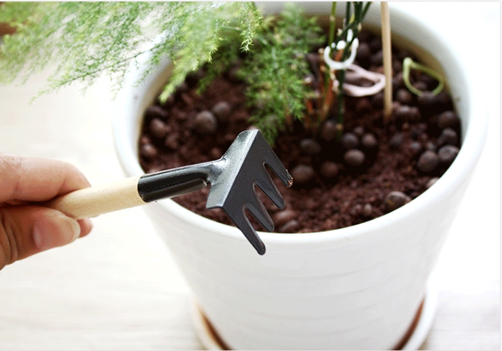 Cây cuốc xẻng mini (3 cái)