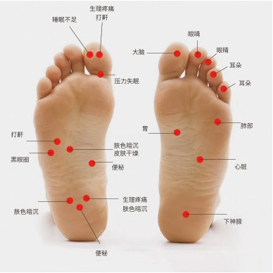 Dụng Cụ Massage Bàn Chân 10 con lăn bằng nhựa